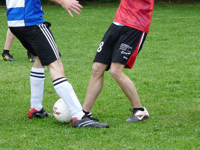 似的适应期 似的适应期