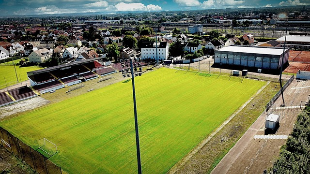 意甲：亚特兰大平拉齐奥.